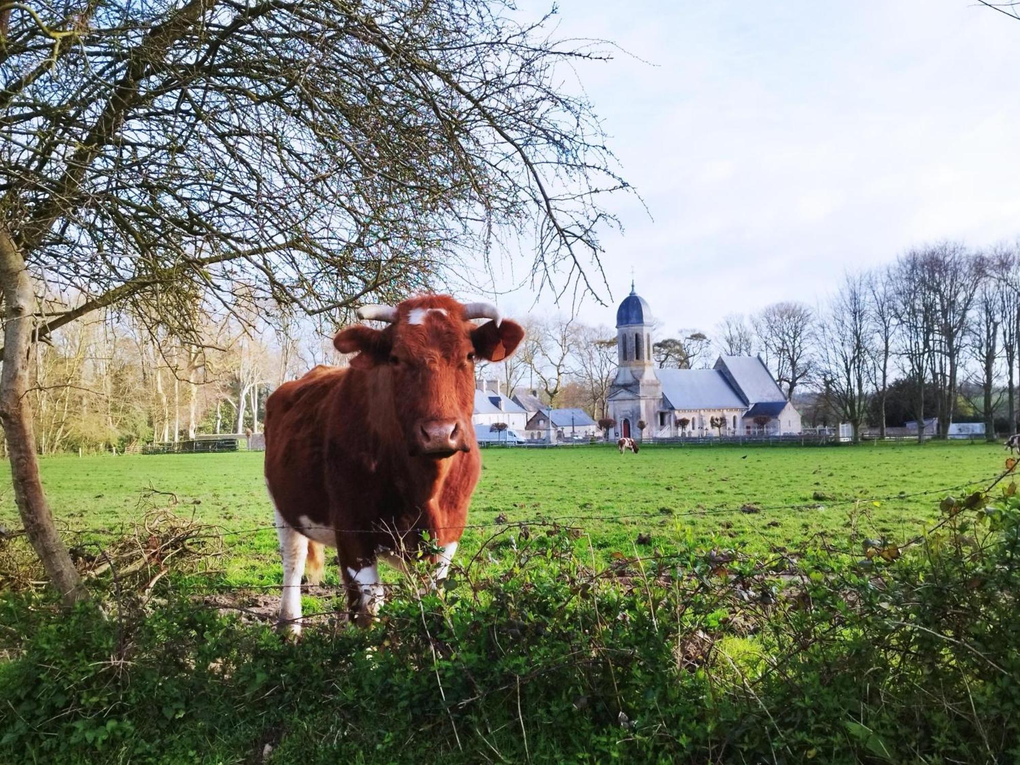 Comme A La "Maisons" Maisons  エクステリア 写真